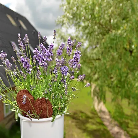 Kragholm Apartment *